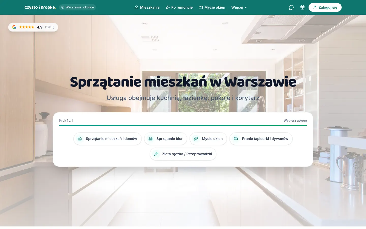 Strona CleanWarszawa