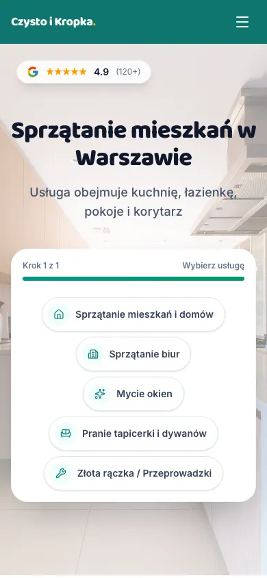 Strona CleanWarszawa